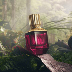 عطر روبرتو كفالي بارادايس فاوند للنساء او دو بارفيوم 75مل Roberto Cavalli Paradise Found for Women Eau de Parfum